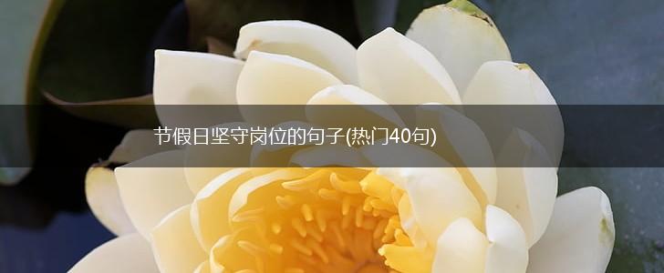 节假日坚守岗位的句子(热门40句),第1张