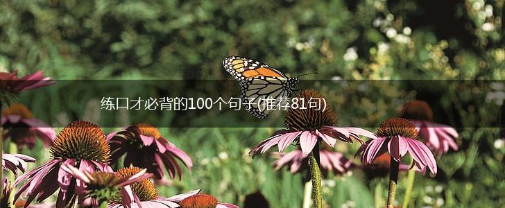 练口才必背的100个句子(推荐81句),第1张