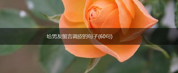 给男友留言调皮的句子(60句),第1张