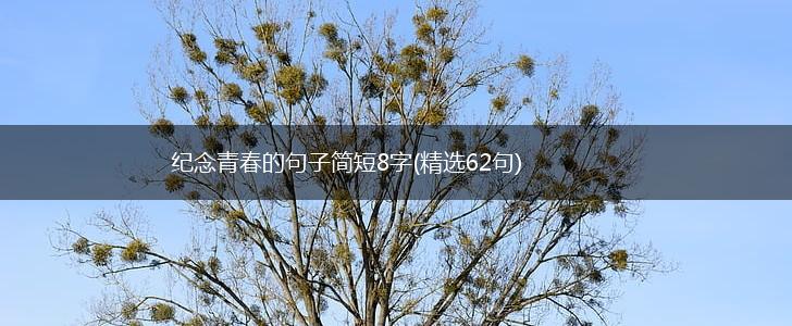 纪念青春的句子简短8字(精选62句),第1张