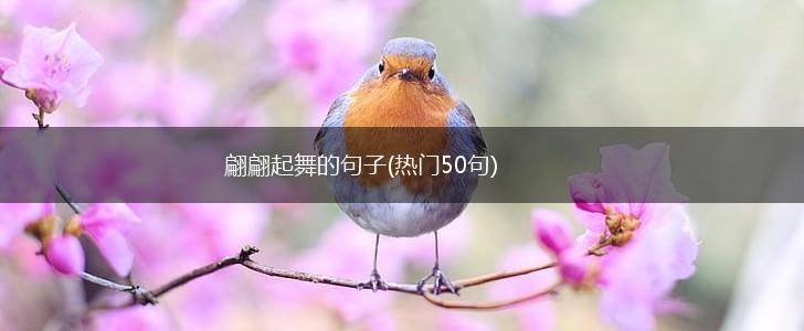 翩翩起舞的句子(热门50句),第1张 翩翩起舞的句子(热门50句),第1张