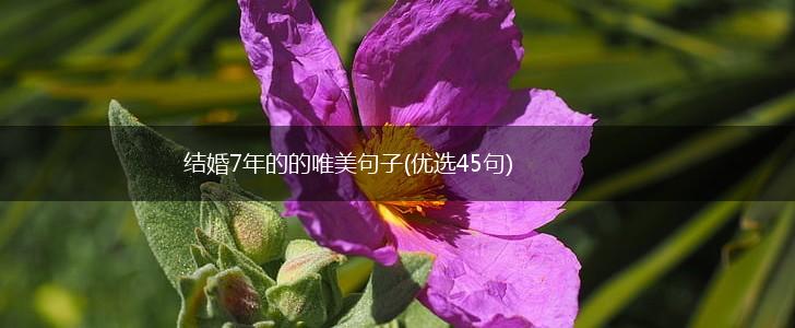 结婚7年的的唯美句子(优选45句),第1张