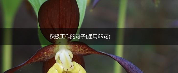 积极工作的句子(通用69句),第1张