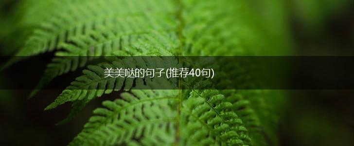 美美哒的句子(推荐40句),第1张