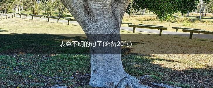 表意不明的句子(必备20句),第1张