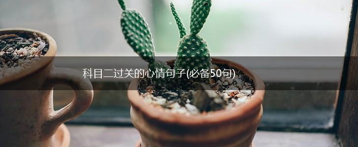 科目二过关的心情句子(必备50句),第1张
