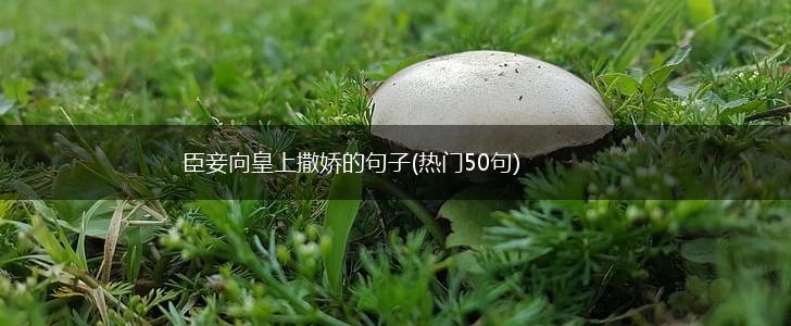 臣妾向皇上撒娇的句子(热门50句),第1张