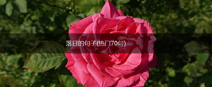 落日的句子(热门70句),第1张