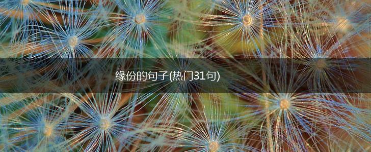 缘份的句子(热门31句),第1张