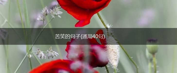 苦笑的句子(通用40句),第1张