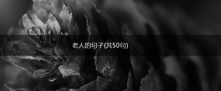 老人的句子(共50句),第1张 老人的句子(共50句),第1张