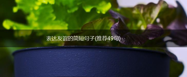 表达友谊的简短句子(推荐49句),第1张