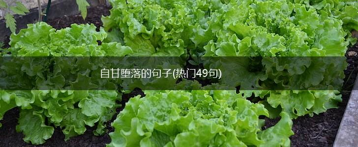 自甘堕落的句子(热门49句),第1张