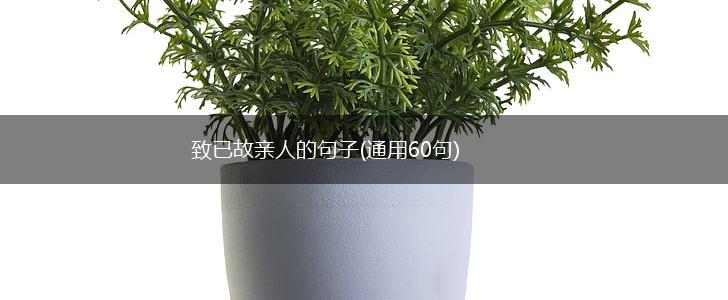 致已故亲人的句子(通用60句),第1张