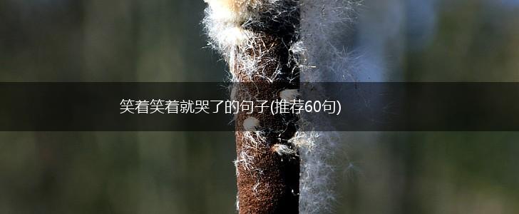 笑着笑着就哭了的句子(推荐60句),第1张