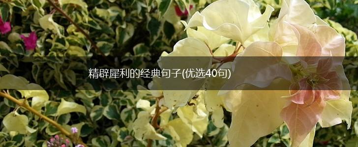 精辟犀利的经典句子(优选40句),第1张