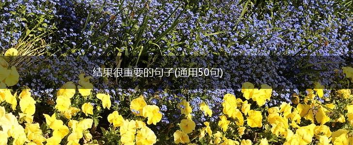 结果很重要的句子(通用50句),第1张