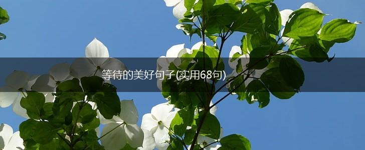 等待的美好句子(实用68句),第1张