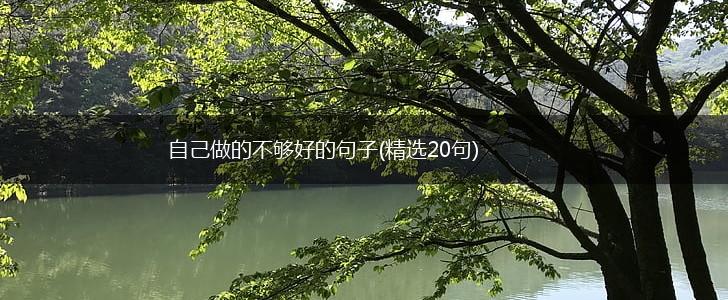 自己做的不够好的句子(精选20句),第1张