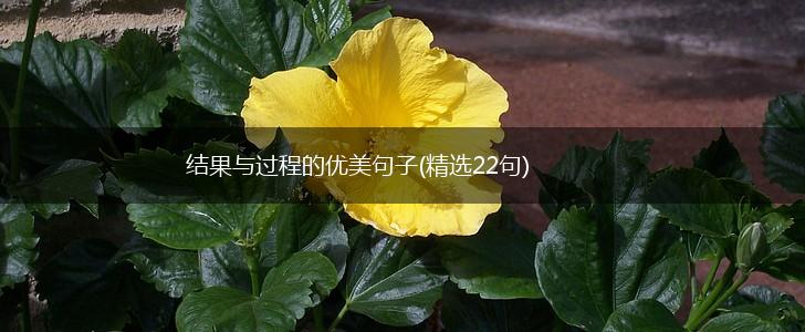 结果与过程的优美句子(精选22句),第1张