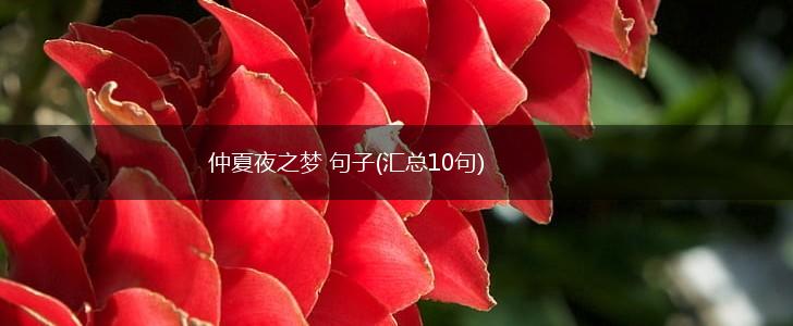 仲夏夜之梦 句子(汇总10句),第1张