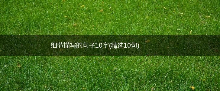 细节描写的句子10字(精选10句),第1张