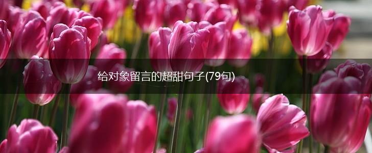 给对象留言的超甜句子(79句),第1张