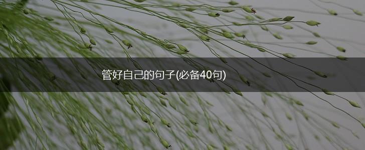 管好自己的句子(必备40句),第1张