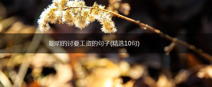 聪明的讨要工资的句子(精选10句),第1张