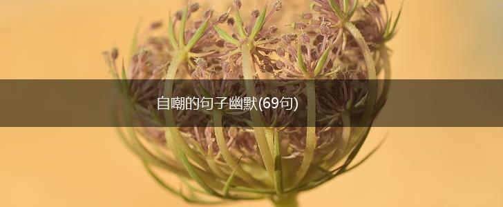 自嘲的句子幽默(69句),第1张