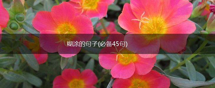 糊涂的句子(必备45句),第1张