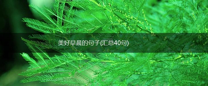 美好早晨的句子(汇总40句),第1张