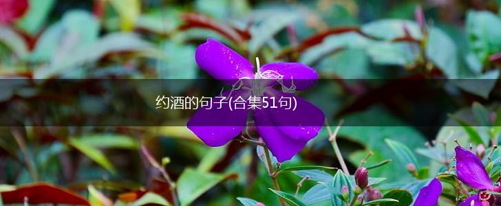约酒的句子(合集51句),第1张