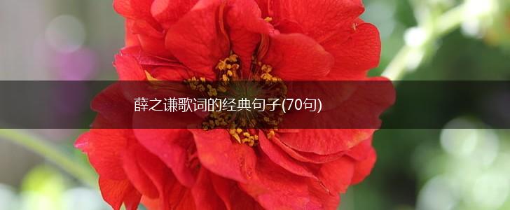 薛之谦歌词的经典句子(70句),第1张
