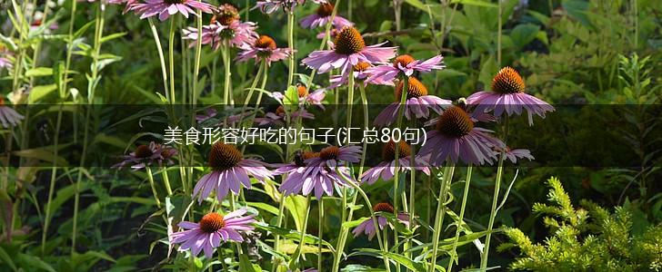 美食形容好吃的句子(汇总80句),第1张