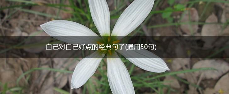 自己对自己好点的经典句子(通用50句),第1张