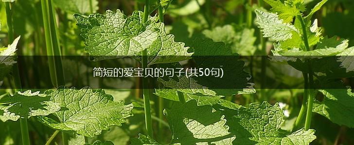 简短的爱宝贝的句子(共50句),第1张