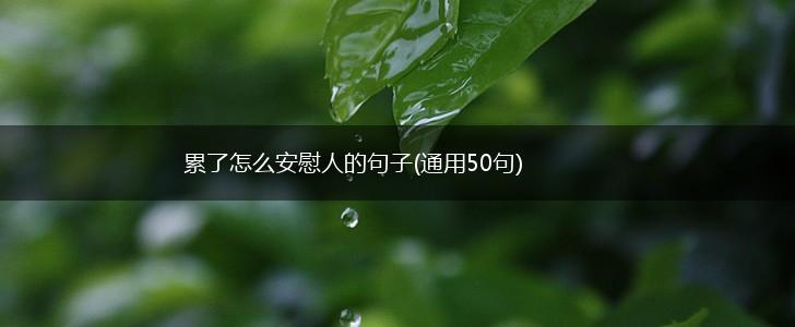 累了怎么安慰人的句子(通用50句),第1张