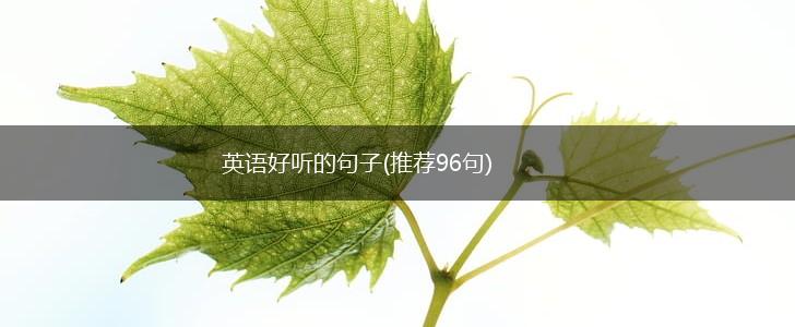 英语好听的句子(推荐96句),第1张