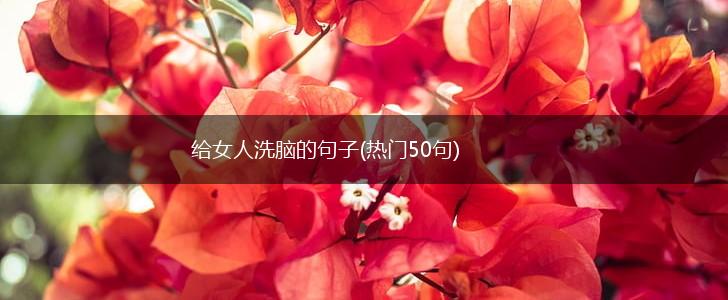 给女人洗脑的句子(热门50句),第1张