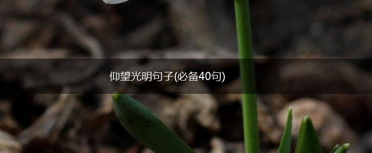 仰望光明句子(必备40句),第1张