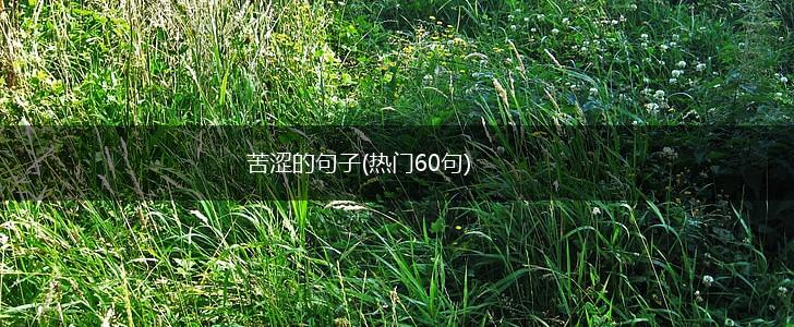 苦涩的句子(热门60句),第1张