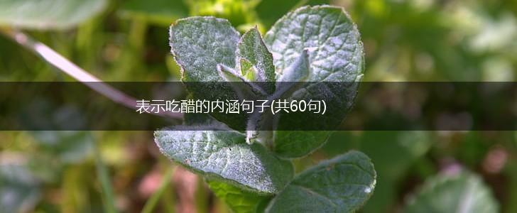 表示吃醋的内涵句子(共60句),第1张