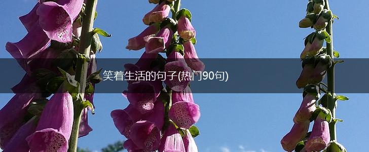 笑着生活的句子(热门90句),第1张