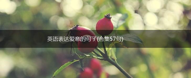 英语表达爱意的句子(合集57句),第1张