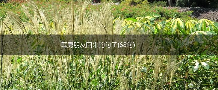 等男朋友回来的句子(68句),第1张