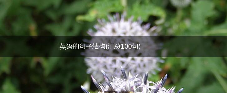 英语的句子结构(汇总100句),第1张
