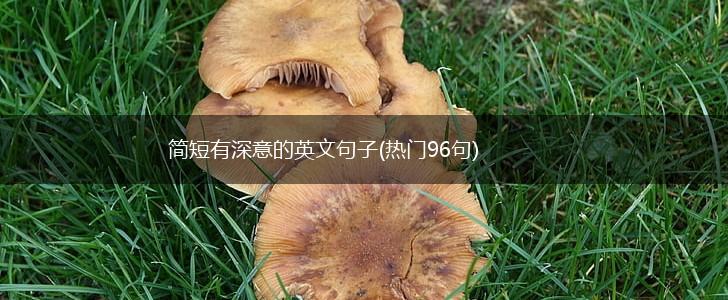 简短有深意的英文句子(热门96句),第1张