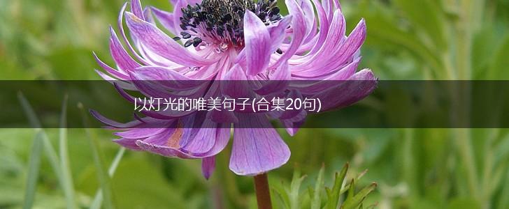 以灯光的唯美句子(合集20句),第1张