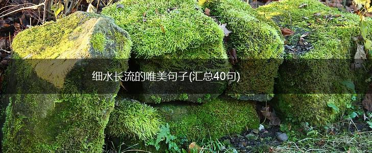 细水长流的唯美句子(汇总40句),第1张